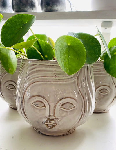 Garden + Gift